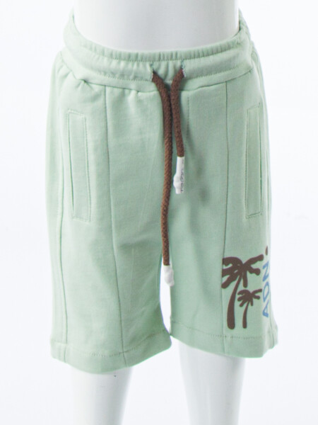 Erkek Çocuk Yazlık 2'li Alt Üst Takım (Tişort + Şort) 2-7 Yaş 3224 Kahverengi - 4