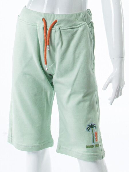 Erkek Çocuk Yazlık 2'li Alt Üst Takım (Tişort + Şort) 8-14 Yaş 4221 Mint - 5