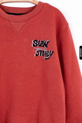 Erkek Bebek Sweatshirt 9-24 Ay 45624 Kiremit - 3