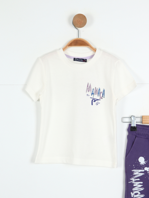 Erkek Çocuk Kombin Takmı 1-4 Yaş SET0325 Mor - 3