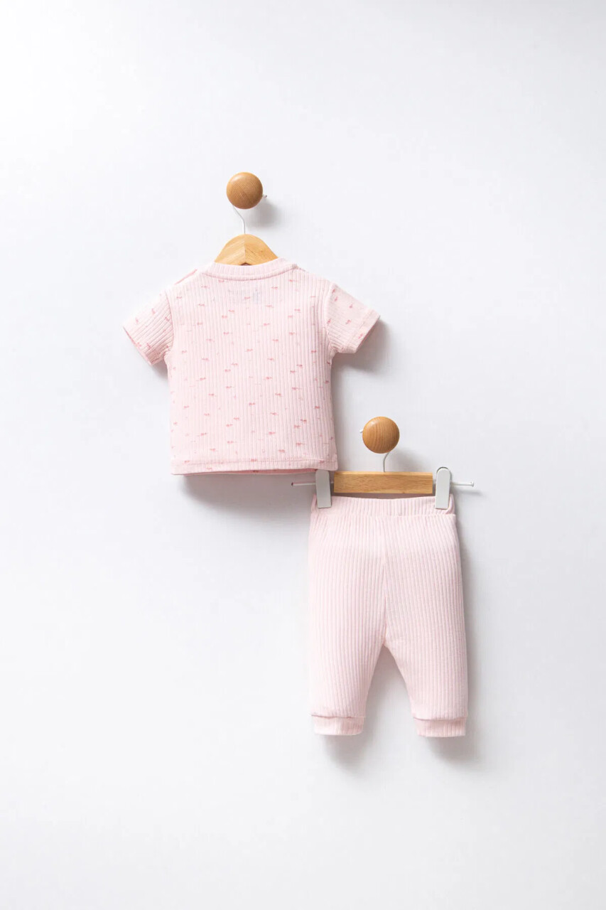U.S Polo Bebek 2'Li Takım USB2456 Pudra - 4