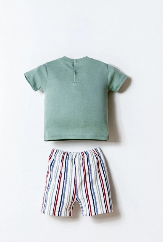 U.S. Polo Şortlu Takım USB2880 Yeşil - 4